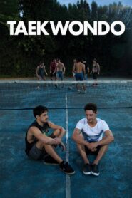 Taekwondo 2016 on netflix