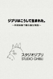 The Birth of Studio Ghibli 2003 on netflix