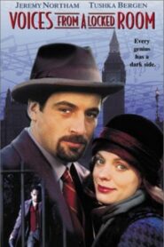 Voices 1995 on netflix