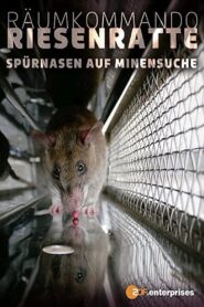 Räumkommando Riesenratte – Spürnasen auf Minensuche 2008 on netflix