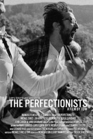 The Perfectionists 2013 on netflix