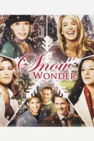 Snow Wonder 2005 on netflix
