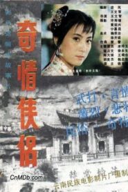 奇情侠侣 1988 on netflix