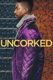 Uncorked 2020 on netflix