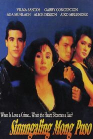 Sinungaling Mong Puso 1992 on netflix
