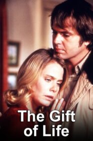 The Gift of Life 1982 on netflix
