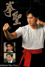 Behind the Fist 1993 on netflix