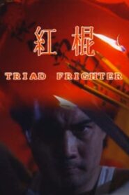 Triad Fighter 1992 on netflix