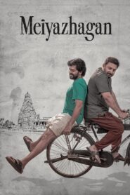 Meiyazhagan 2024 on netflix