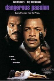 Dangerous Passion 1990 on netflix