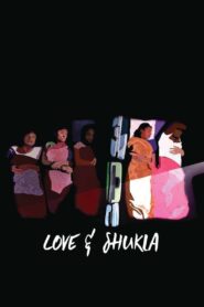 Love and Shukla 2017 on netflix