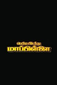 Periya Idathu Mappillai 1997 on netflix