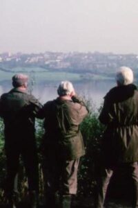 Review 34th Year No. 7 1981 on netflix