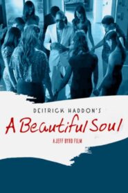 A Beautiful Soul 2012 on netflix