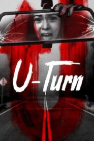 U-Turn 2020 on netflix