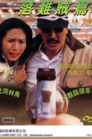 Fallen Couple 1995 on netflix