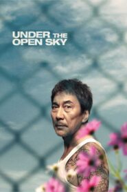 Under the Open Sky 2021 on netflix