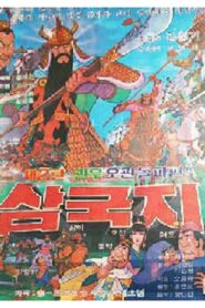 삼국지: 관우 오관돌파 1980 on netflix