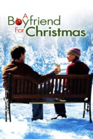 A Boyfriend for Christmas 2004 on netflix