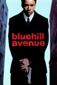 Blue Hill Avenue 2003 on netflix