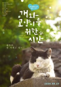 A Time for Dogs and Cats 2020 on netflix