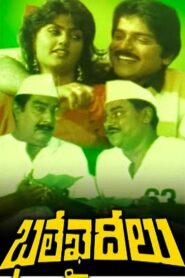 Bhale Khaideelu 1992 on netflix