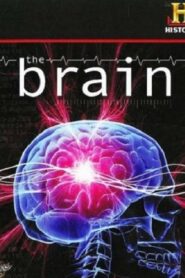 The Brain 2008 on netflix