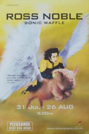 Ross Noble: Sonic Waffle 2005 on netflix