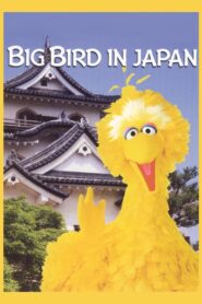 Big Bird in Japan 1988 on netflix