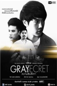 Wifi Society: Gray Secret 2015 on netflix