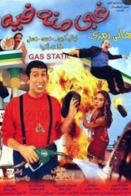 A Natural Born Fool 2004 on netflix