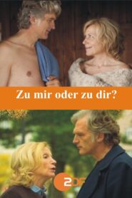 Zu mir oder zu dir? 2014 on netflix