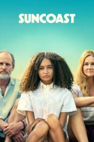 Suncoast 2024 on netflix