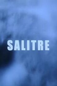 Salitre 2005 on netflix