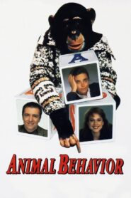 Animal Behavior 1989 on netflix