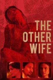 The Other Wife 2021 on netflix