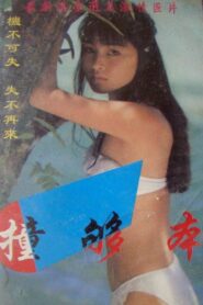 撞够本 1987 on netflix