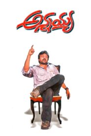 Annayya 2000 on netflix