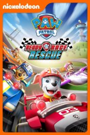PAW Patrol: Ready, Race, Rescue! 2019 on netflix