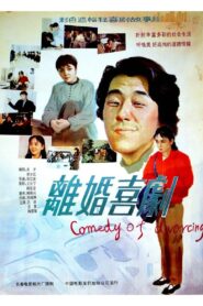 Comedy of Divorce 1992 on netflix