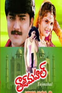 Taj Mahal 1995 on netflix