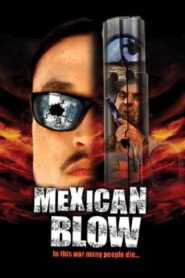 Mexican Blow 2002 on netflix