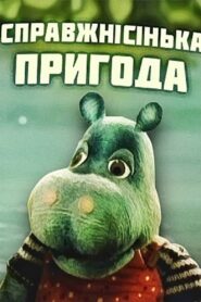The Real Adventure 1990 on netflix
