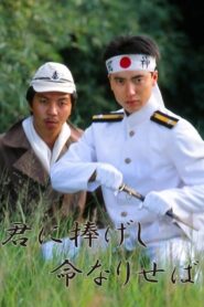 Kimi ni sasageshi inochi nariseba 1990 on netflix