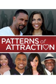 Patterns of Attraction 2014 on netflix