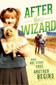 After the Wizard 2011 on netflix