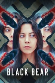 Black Bear 2020 on netflix