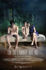 If You Leave Me Now 2014 on netflix