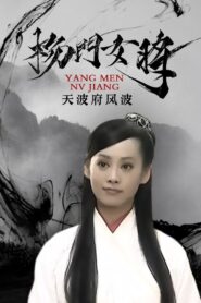 杨门女将之天波府风波 2001 on netflix