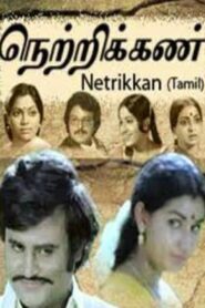 Netrikan 1981 on netflix